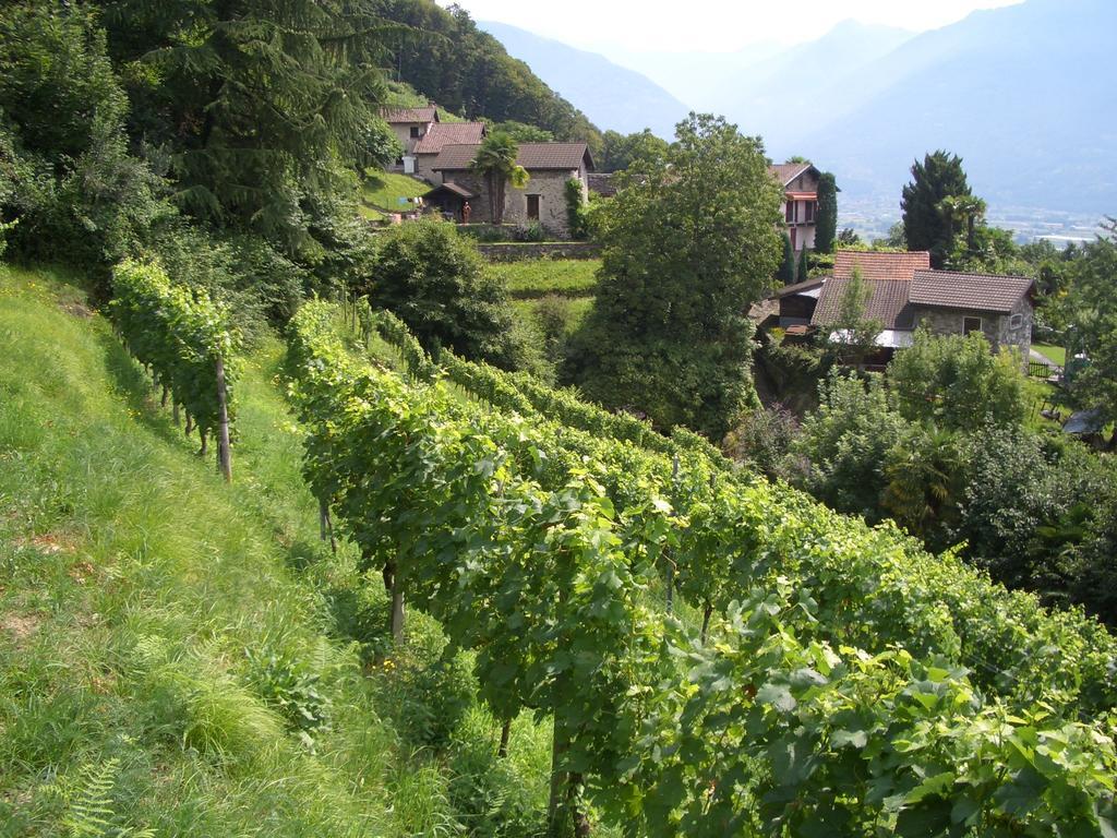Tenuta Casa Cima - Tenutacasacima Com - Gudo Eksteriør billede